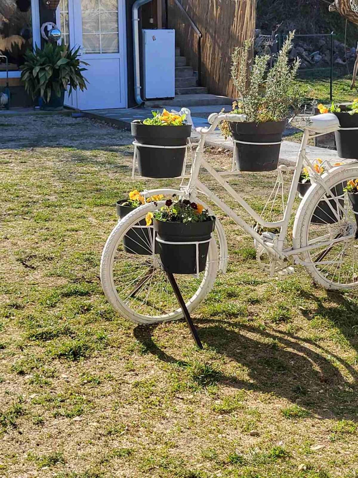 Apartman Barka Golubac Ngoại thất bức ảnh